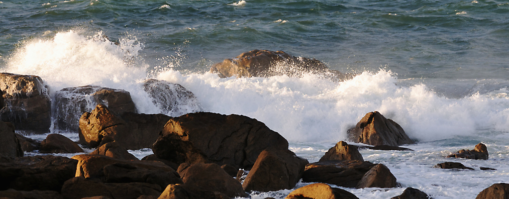 포토 JPG 해외이미지 파도 바다 모션 자연 조류 바람 날씨 파노라마 해변 사람없음 물 힘 거품 에너지 프랑스 바위 흰색 만 떨어짐 위험 큼 분무기 암초 폭풍 내추럴 압력 해일 힘찬 해외포토 자연요소 동물 유럽 컬러 컨셉 촬영기법 돌_바위 크기 자연재해 생태계 파일형식 이미지허브