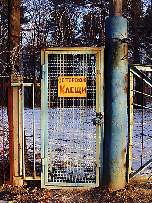 포토 JPG 해외이미지 벽 곤충 백그라운드 날씨 추상 사람없음 야외 목재 세로 울타리 문 맑음 어둠 재산 보호 돌봄 옛날 줄서기 해외포토 나무 동물 컨셉 무늬 재료 모션 금융 담장 파일형식 이미지허브