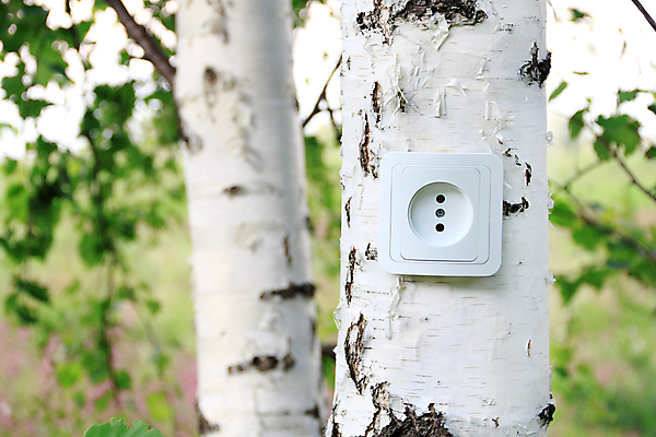 포토 JPG 해외이미지 나무 컨셉 자연 아이디어 사람없음 야외 초록색 환경 힘 재활용 장비 에너지 흰색 절약 구출 콘센트 플러그 보호 에코 생태계 나무껍질 스위치 자작나무 자원 내추럴 혁명 돌봄 바이오 생태학 효율 해외포토 식물 교육 컬러 모션 껍질 도움 친환경 파일형식 이미지허브