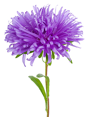 포토 JPG 해외이미지 식물 계절 백그라운드 단풍 잎 오렌지 텍스트 자연 프레임 건조 사람없음 장식 빨간색 초록색 컬러풀 노란색 우주 신용카드 변화 떨어짐 9월 질감 10월 고립 옛날 국경 해외포토 컬러 컨셉 과일 금융 날짜 생태계 파일형식 이미지허브