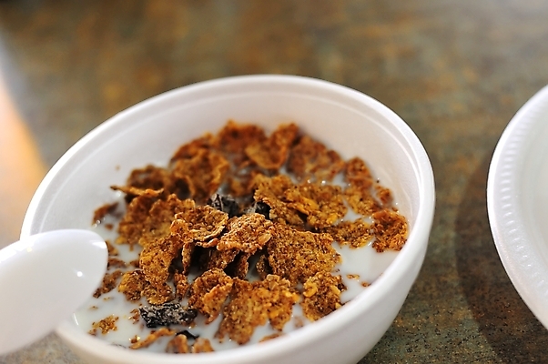 포토 JPG 해외이미지 음식 컨셉 다이어트 재료 건강 사람없음 식사 우유 흰색 신선 사발 아침식사 시리얼 먹기 메뉴 채식주의자 귀리 맛있는 해외포토 컬러 모션 유제품 곡류 사기그릇 채식 파일형식 이미지허브