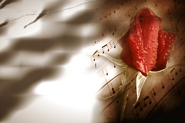 포토 JPG 해외이미지 기념일 꽃 행복 종이 음악 결혼 백그라운드 노래 텍스트 휴가 프레임 발렌타인데이 선물 사랑 사람없음 우주 쪽지 봄 공백 낭만 추위 수확 골동품 벚꽃 흰색 축하 인사 신용카드 메시지 앨범 향수 꽃봉오리 복고 엽서 구식 그런지 뮤지컬 순간 옛날 조언 필기체 카피스페이스 국경 해외포토 식물 문자 계절 감정 컬러 컨셉 농업 데이이벤트 문화예술 이벤트 금융 화장품 예절 편지 파일형식 이미지허브