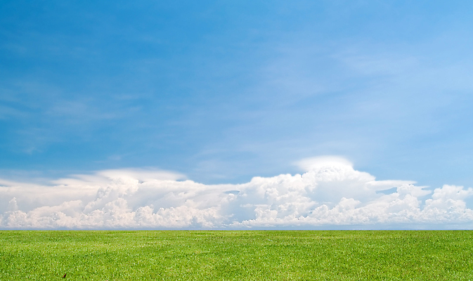 포토 JPG 해외이미지 식물 계절 하늘색 백그라운드 밭 자연 하늘 날씨 사람없음 야외 초록색 파란색 뷰티 환경 봄 시골 신선 분위기 장면 솜털 흐림 내추럴 평야 수평선 해외포토 컬러 컨셉 농업 생태계 파일형식 이미지허브