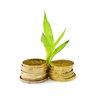 포토 JPG 해외이미지 백그라운드 컨셉 잎 돈 비즈니스 그래프 미래 사람없음 초록색 노란색 쌓기 동전 자료 거래 유로 성장 흰색 시장 재산 황금 주식 위험 속도 투자 고립 관심 수입 적자 해외포토 식물 컬러 모션 금융 파일형식 이미지허브