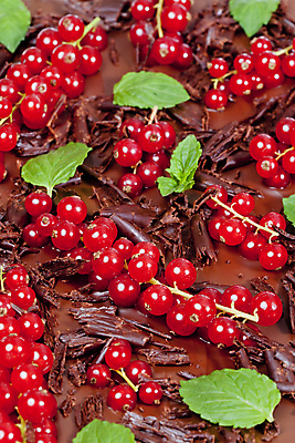 포토 JPG 해외이미지 음식 백그라운드 잎 과일 디저트 실내 사람없음 빨간색 초록색 인테리어 갈색 과자 초콜릿 닫기 달콤 유혹 민트 칼로리 충동구매 건포도 영양분 정물화 솔깃 해외포토 식물 디자인 컬러 컨셉 모션 포도 내부 쇼핑 맛 허브 그림 건과일 과소비 파일형식 이미지허브