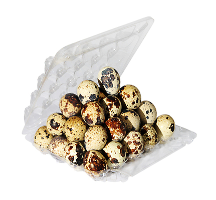 포토 JPG 해외이미지 야생동물 음식 백그라운드 컨셉 다이어트 재료 자연 조류 부활절 건강 요리 사람없음 갈색 계란 식사 껍질 흰색 신선 점 얼룩 그룹 맛 아침식사 상품 작음 심볼 오브젝트 유기농 날것 내추럴 고립 단백질 메추리 생식 식품점 취급주의 많음 해외포토 동물 웰빙 기념일 컬러 경고 상점 알 크기 생태계 영양소 파일형식 이미지허브