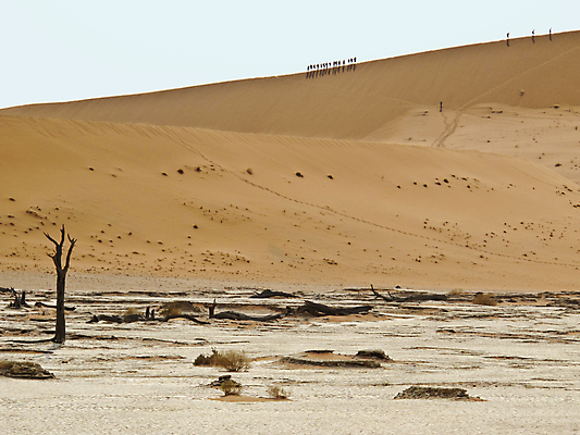 포토 JPG 해외이미지 모래 여행 아프리카 자연 하늘 건조 풍경 사람없음 빨간색 파란색 어둠 사막 황무지 남쪽 나미비아 해외포토 나라 컬러 방향 생태계 남아프리카 파일형식 이미지허브
