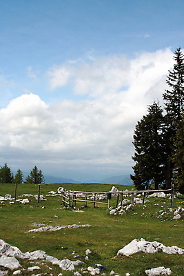 포토 JPG 해외이미지 나무 구름 계절 밭 자연 하늘 산 주택 풍경 초원 사람없음 야외 초록색 여름 파란색 햇빛 뷰티 계곡 전원 시골 오스트리아 고독 작음 땅 스위스 언덕 장면 수평선 해외포토 자연요소 식물 감정 유럽 컬러 농업 건물 태양 전기에너지 크기 생태계 파일형식 이미지허브