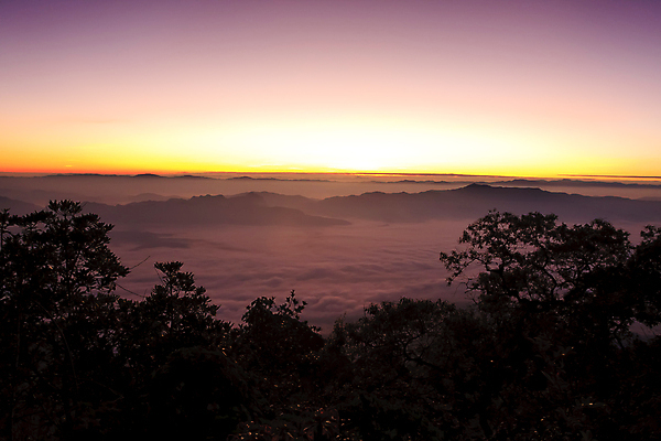 포토 JPG 해외이미지 나무 공원 밭 태국 자연 산 사람없음 초록색 빛 새벽 추위 안개 정상 숲 언덕 장면 해외포토 자연요소 식물 공공시설 아시아 컬러 농업 날씨 생태계 파일형식 이미지허브