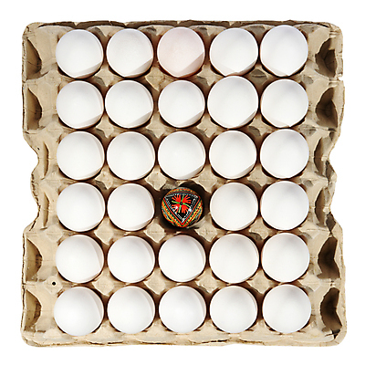 포토 JPG 해외이미지 전통 디자인 계절 종교 음식 백그라운드 패턴 재료 자연 조류 휴가 부활절 초원 사람없음 장식 빨간색 초록색 파란색 상자 컬러풀 농장 갈색 노란색 바구니 계란 치킨 봄 껍질 흰색 축하 신선 그룹 아침식사 심볼 유기농 날것 패키지 판지 고립 단백질 해외포토 동물 웰빙 기념일 컬러 컨셉 무늬 농업 알 식사 생태계 닭고기요리 영양소 파일형식 이미지허브