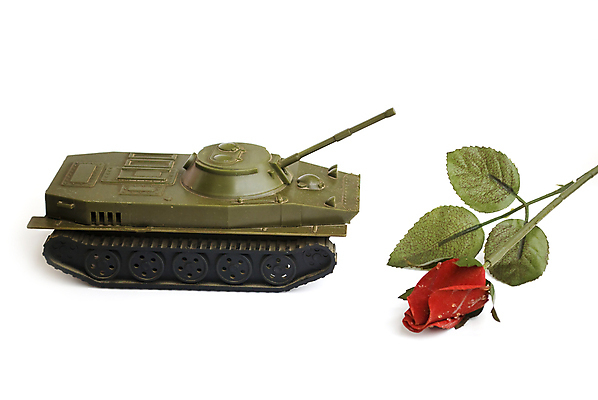 포토 JPG 해외이미지 꽃 무기 조각 컨셉 사랑 사람없음 빨간색 초록색 세계 장난감 장미 힘 기계 총 흰색 만 역사 재산 심볼 군용 싸움 전쟁 탱크 육군 대포 병정 고립 그만 옛날 이라크 필승 해병대 해외포토 식물 감정 컬러 중동 모션 군대 금융 우승 파일형식 이미지허브