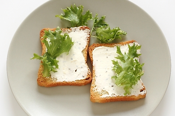 포토 JPG 해외이미지 접시 음식 다이어트 치즈 건강 사람없음 초록색 빛 회색 아침식사 상추 카나페 크림 속도 토스트 맛있는 해외포토 식기 빵 컬러 채소 유제품 서양음식 식사 파일형식 이미지허브