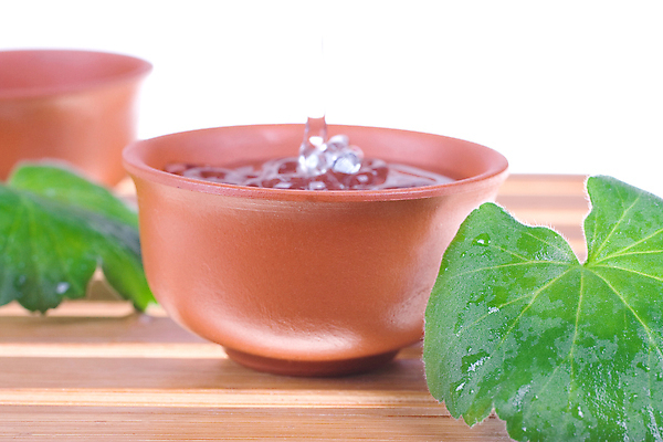 포토 JPG 해외이미지 잎 근접촬영 사람없음 컵 스파 오일 흰배경 나무바닥 아로마 아로마테라피 테라피 에센스 티트리 해외포토 식물 식기 음식 뷰포인트 백그라운드 바닥 뷰티 화장품 흰색 허브 파일형식 이미지허브