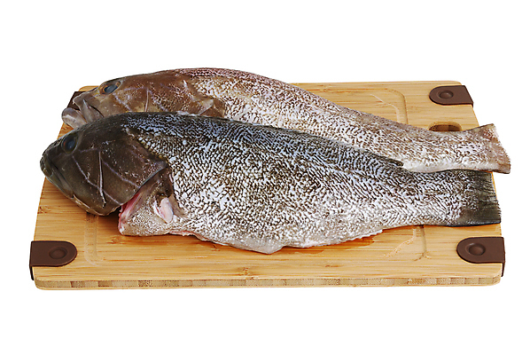 포토 JPG 해외이미지 접시 커플 음식 2 다이어트 재료 건강 어류 요리 사람없음 식사 신선 맛 그릴 큼 바비큐 굽기 지중해 먹기 해산물 유기농 눈금 날것 소금 칼로리 내추럴 거짓말 생식 영양분 맛있는 해외포토 식기 웰빙 바다 컨셉 관계 모션 주방용품 수중동물 크기 구이 파일형식 이미지허브