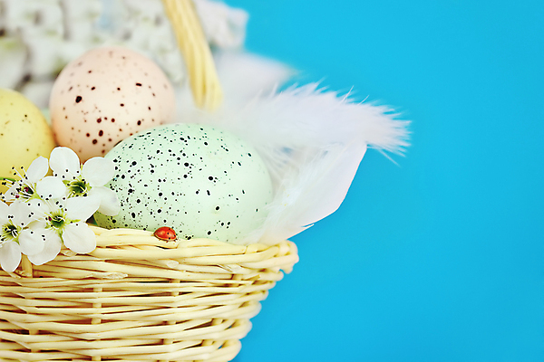 포토 JPG 해외이미지 계절 꽃 음식 분홍색 곤충 휴가 종류 선물 사람없음 장식 초록색 파란색 컬러풀 노란색 바구니 봄 벚꽃 흰색 축하 점 얼룩 그리기 닫기 심볼 부활절계란 파란배경 무당벌레 염색 짜임 정물화 취급주의 카피스페이스 해외포토 식물 동물 컬러 백그라운드 컨셉 모션 부활절 경고 계란 공백 그림 파일형식 이미지허브