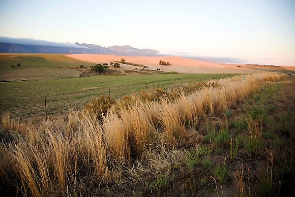 포토 JPG 해외이미지 나무 식물 공원 컨셉 농업 자연 주택 파노라마 초원 사람없음 빨간색 초록색 여름 농장 평화 환경 봄 벚꽃 신선 부식 밭일 지질학 해외포토 계절 공공시설 교육 꽃 산업 컬러 촬영기법 건물 생태계 파일형식 이미지허브