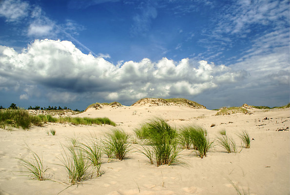 포토 JPG 해외이미지 구름 공원 모래 벽지 하늘 휴가 따뜻함 풍경 사람없음 여름 햇빛 태양 맑음 사막 뜨거움 6월 모래언덕 8월 7월 전국 해외포토 자연요소 계절 공공시설 날씨 날짜 언덕 파일형식 이미지허브