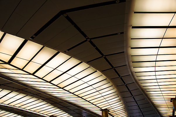 포토 JPG 해외이미지 디자인 선 백그라운드 잎 패턴 건축양식 호텔 미래 실내 따뜻함 사람없음 내부 장식 빛 컬러풀 사무실 노란색 식당 힘 에너지 램프 복도 천장 아치 카페테리아 대칭 떠남 특별함 해외포토 식물 건축 컬러 컨셉 무늬 비즈니스 모션 숙소 조명 상점 파일형식 이미지허브