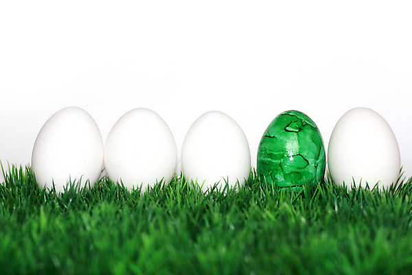 포토 JPG 해외이미지 전통 디자인 계절 꽃 행복 기독교 종교 음식 백그라운드 꽃무늬 패턴 자연 휴가 부활절 창조 선물 초원 사람없음 장식 초록색 컬러풀 계란 페인트 놀람 봄 흰색 축하 토끼 둥지 4월 수집 심볼 고립 해외포토 식물 기념일 감정 컬러 컨셉 무늬 포유류 표정 반려동물 알 날짜 생태계 파일형식 이미지허브