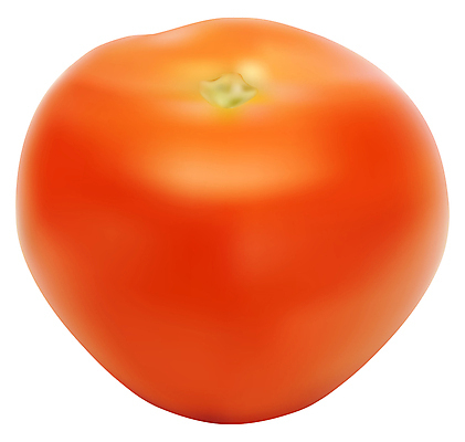 포토 JPG 해외이미지 식물 1 음식 백그라운드 잎 농업 토마토 채소 사람없음 빨간색 초록색 흰색 신선 오브젝트 싱글 내추럴 고립 숙성 해외포토 산업 컬러 파일형식 이미지허브