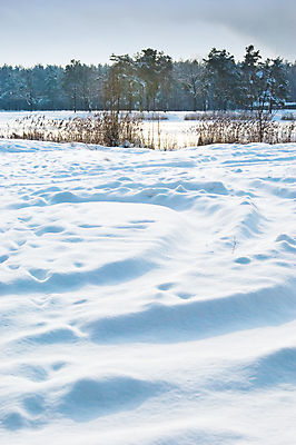 포토 JPG 해외이미지 계절 백그라운드 이동 크리스마스 겨울 패턴 밭 자연 날씨 추상 새로움 사람없음 빛 얼음 침묵 추위 흰색 신선 닫기 매끈함 12월 크리스탈 모래언덕 북극 순수 질감 서리 1월 내추럴 2월 땅바닥 진짜 해외포토 자연요소 기념일 컬러 컨셉 무늬 농업 모션 바닥 소리 감각 날짜 광석 극지방 언덕 생태계 파일형식 이미지허브