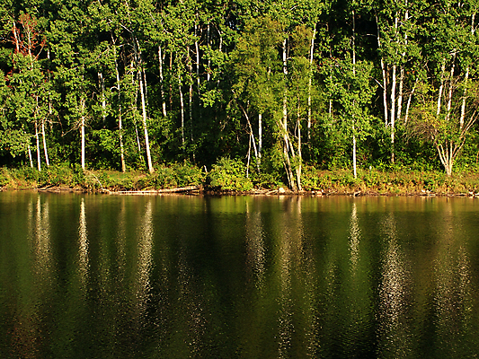 포토 JPG 해외이미지 나무 식물 공원 호수 잎 자연 주전자 사람없음 야외 물 반사 평화 환경 미국 침묵 연못 화려 보호 숲 생물학 남쪽 내추럴 생태학 해외포토 자연요소 공공시설 교육 컨셉 북아메리카 주방용품 소리 방향 생태계 파일형식 이미지허브
