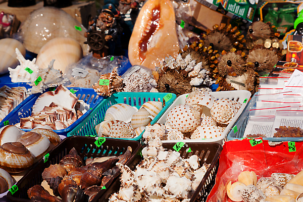 포토 JPG 해외이미지 외관 계절 도로 여행 비즈니스 거리 서기 사람없음 장식 여름 쇼핑 컬러풀 판매 세일 여행객 우주 상점 도시 센터 구매 고객 상업 쇼 장면 소매 폴란드 해외포토 유럽 길 컬러 교통시설 모션 사람 파일형식 이미지허브