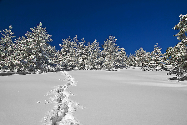 포토 JPG 해외이미지 계절 도로 길 겨울 자국 자연 휴가 산 풍경 사람없음 야외 맑음 추위 시골 고독 숲 오솔길 고립 방법 선로 해외포토 감정 교통시설 날씨 생태계 파일형식 이미지허브