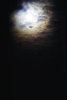 포토 JPG 해외이미지 자연 하늘 날씨 사람없음 태양 어둠 폭풍 폭풍우 해외포토 자연요소 비_날씨 자연재해 생태계 파일형식 이미지허브