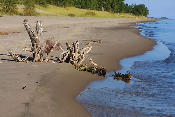 포토 JPG 해외이미지 구름 라이프스타일 여자 행복 모래 파도 바다 여행 백그라운드 자연 하늘 휴가 휴식 미소 사람 풍경 사람없음 야외 물 여름 파란색 햇빛 태양 뷰티 맑음 일몰 흰색 이국적 파라다이스 해외포토 자연요소 계절 감정 컬러 컨셉 날씨 표정 생활 노을 생태계 파일형식 이미지허브
