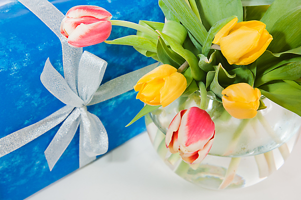 포토 JPG 해외이미지 식물 기념일 꽃잎 꽃 리본 종이 분홍색 꽃다발 백그라운드 잎 꽃무늬 자연 휴가 발렌타인데이 선물 사랑 이벤트 사람없음 장식 빨간색 초록색 상자 컬러풀 뷰티 놀람 봄 활발 튤립 벚꽃 흰색 축하 신선 생일 고급 오브젝트 활 주기 기회 패키지 해외포토 계절 감정 컬러 컨셉 무늬 모션 데이이벤트 표정 생태계 파일형식 이미지허브