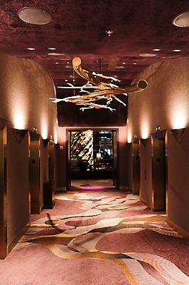 포토 JPG 해외이미지 디자인 벽 여행 건축양식 호텔 휴가 바닥 실내 사람없음 내부 건물 장식 빛 방 램프 홀 복도 고급 우아함 천장 휴양지 스타일 해외포토 건축물 건축 컨셉 숙소 조명 공간 장소 파일형식 이미지허브