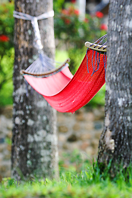 포토 JPG 해외이미지 나무 식물 아시아 모래 바다 섬 여행 백그라운드 자연 하늘 휴가 휴식 손바닥 사람없음 야외 빨간색 물 파란색 햇빛 태양 뷰티 평화 맑음 꿈 만 뜨거움 탈출 휴양지 해먹 몰디브 터키석 파라다이스 수평선 해외포토 자연요소 손 나라 컬러 컨셉 날씨 장소 침대 보석 생태계 파일형식 이미지허브