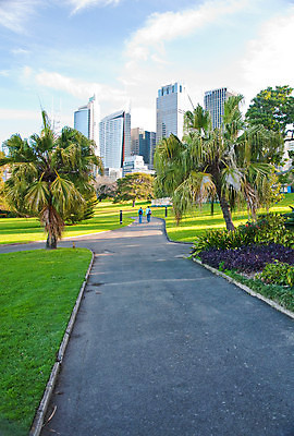 포토 JPG 해외이미지 여행 건축양식 주택 풍경 사람없음 건물 도시풍경 고층빌딩 도시 호주 시드니 스카이라인 해외포토 건축물 건축 빌딩 오세아니아 파일형식 이미지허브