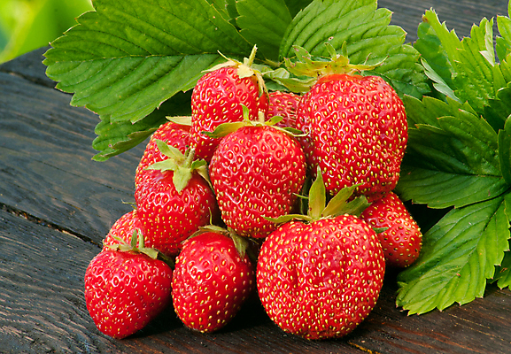 포토 JPG 해외이미지 잎 자연 딸기 근접촬영 사람없음 빨간색 신선 해외포토 식물 뷰포인트 컬러 과일 생태계 파일형식 이미지허브