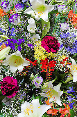 포토 JPG 해외이미지 꽃 꽃다발 사람없음 활발 해외포토 식물 컨셉 파일형식 이미지허브