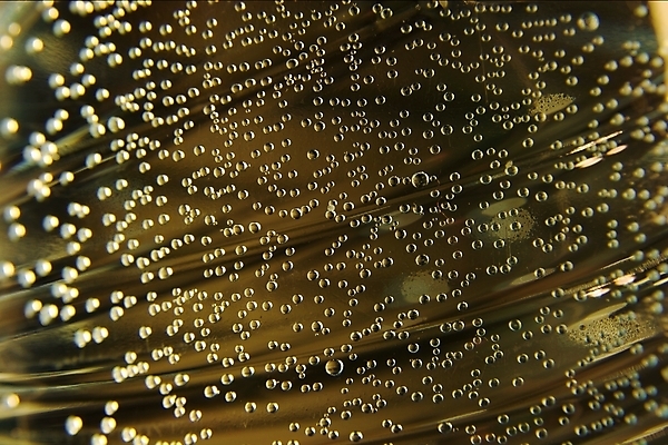 포토 JPG 해외이미지 모양 물결 음료 파도 과학 백그라운드 패턴 벽지 표면 추상 사람없음 장식 물 빛 환경 활발 거품 젖음 추위 물방울 신선 원형 액체 황금 떨어짐 매끈함 이슬 작음 시원함 상쾌 질감 부드러움 많음 해외포토 자연요소 도형 감정 바다 컨셉 무늬 감각 크기 파일형식 이미지허브