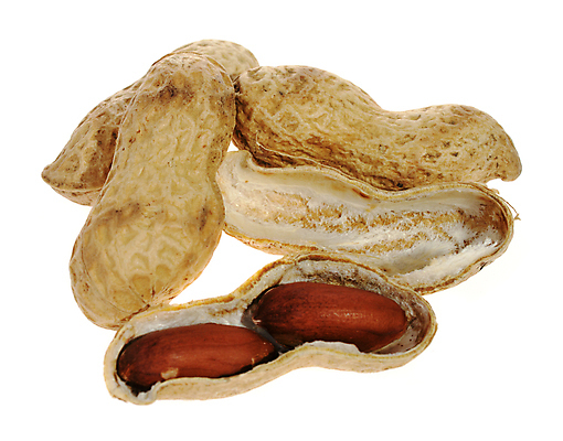 포토 JPG 해외이미지 건조 사람없음 갈색 껍질 알맹이 땅콩 해외포토 컬러 견과류 파일형식 이미지허브