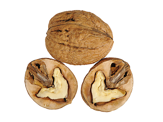 포토 JPG 해외이미지 음식 백그라운드 채소 과일 재료 부분 자연 추상 건조 건강 사람없음 가로 갈색 견과류 흰색 오픈 그룹 닫기 작음 먹기 가득함 오브젝트 유기농 슛 호두 다리찢기 고립 깨짐 해외포토 웰빙 컬러 컨셉 무늬 모션 크기 생태계 파일형식 이미지허브