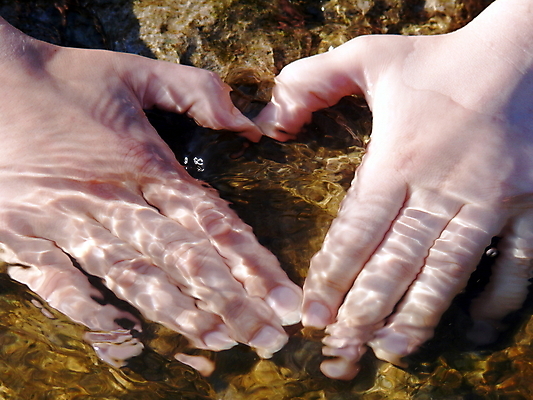 포토 JPG 해외이미지 손 바다 백그라운드 컨셉 손가락 자연 표면 휴가 발렌타인데이 손바닥 사랑 사람 사람없음 물 반사 하트 신선 닫기 심볼 질감 해외포토 자연요소 모양 감정 모션 데이이벤트 신체부위 생태계 파일형식 이미지허브
