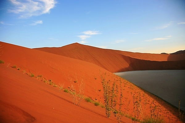 포토 JPG 해외이미지 나무 모래 여행 패턴 밭 오렌지 아프리카 자연 하늘 건조 풍경 사람없음 야외 빨간색 파란색 햇빛 태양 갈색 사막 죽음 황무지 모래언덕 가뭄 남쪽 내추럴 나미비아 해외포토 자연요소 식물 나라 컬러 무늬 농업 과일 날씨 방향 언덕 생태계 남아프리카 파일형식 이미지허브