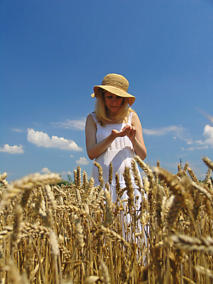 포토 JPG 해외이미지 식물 계절 여자 밭 채소 자연 날씨 건강 씨앗 한명 서기 야외 빛 금발 세계 햇빛 태양 뷰티 농장 노란색 우주 환경 활발 자유 수확 흰색 황금 밀 유기농 장면 스파이크 밀짚 무료 밭일 호밀 많음 해외포토 자연요소 1 헤어스타일 웰빙 컬러 컨셉 농업 모션 곡류 사람 짚 생태계 파일형식 이미지허브