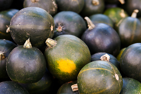 포토 JPG 해외이미지 음식 채소 호박 사람없음 가로 박 스쿼시 해외포토 스포츠 구기 파일형식 이미지허브