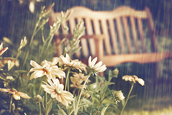 포토 JPG 해외이미지 식물 계절 꽃 백그라운드 잎 패턴 공 자연 아침 추상 풍경 잔디 사람없음 야외 초록색 물 여름 빛 환경 정원 봄 젖음 흐름 안개 성장 물방울 신선 뜨거움 투명 액체 떨어짐 이슬 작음 수분 묘사 질감 내추럴 샤워실 해외포토 주간 자연요소 컬러 컨셉 무늬 날씨 크기 생태계 샤워시설 파일형식 이미지허브