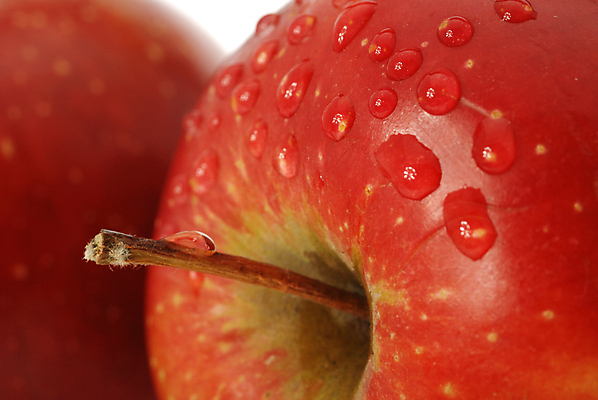 포토 JPG 해외이미지 라이프스타일 음료 음식 백그라운드 다이어트 과일 자연 건강 사람없음 빨간색 물 흰색 물방울 신선 달콤 떨어짐 사과 몸무게 이슬 먹기 상쾌 유기농 점심식사 고립 숙성 업그레이드 적자 해외포토 자연요소 웰빙 감정 컬러 컨셉 모션 생활 식사 맛 생태계 파일형식 이미지허브