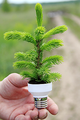포토 JPG 해외이미지 컨셉 전구 아이디어 사람없음 초록색 빛 태양 환경 재활용 에너지 흰색 절약 그린에너지 보호 에코 자원 해결 발명 생태학 효율 해외포토 자연요소 교육 컬러 친환경 파일형식 이미지허브