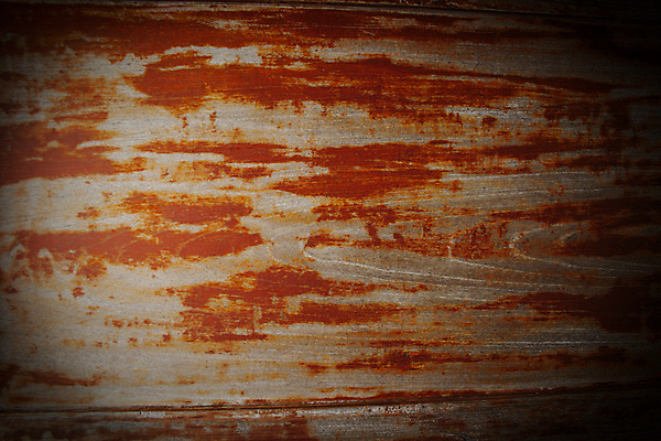 포토 JPG 해외이미지 디자인 종이 벽 백그라운드 추상 미술 사람없음 목재 그래픽 손상 수확 골동품 점 얼룩 역사 균열 떨어짐 낟알 부식 질감 복고 시들음 골절 구김 구식 그런지 썩음 양피지 옛날 해외포토 나무 컨셉 무늬 농업 재료 의학 모션 문화예술 파일형식 이미지허브