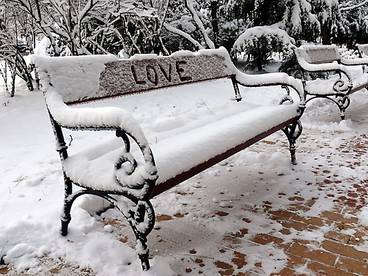 포토 JPG 해외이미지 나무 계절 공원 가구 백그라운드 겨울 벤치 의자 자연 날씨 휴식 사랑 앉기 사람없음 야외 목재 단어 뷰티 갈색 금속 정원 냉동 얼음 침묵 추위 흰색 고독 12월 편지 서리 장면 내추럴 눈내림 해외포토 자연요소 식물 문자 공공시설 감정 컬러 생활용품 컨셉 재료 모션 재질 눈_날씨 소리 날짜 생태계 파일형식 이미지허브