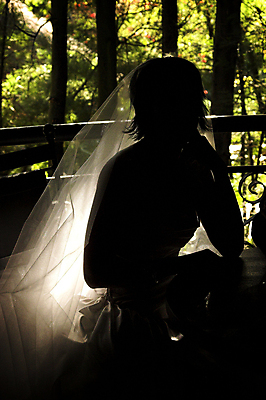 포토 JPG 해외이미지 나무 드레스 여자 실루엣 결혼 자연 사람 성인 사람없음 뷰티 낭만 축하 가운 베일 해외포토 레이스천 식물 옷 컨셉 촬영기법 이벤트 직물 생태계 파일형식 이미지허브