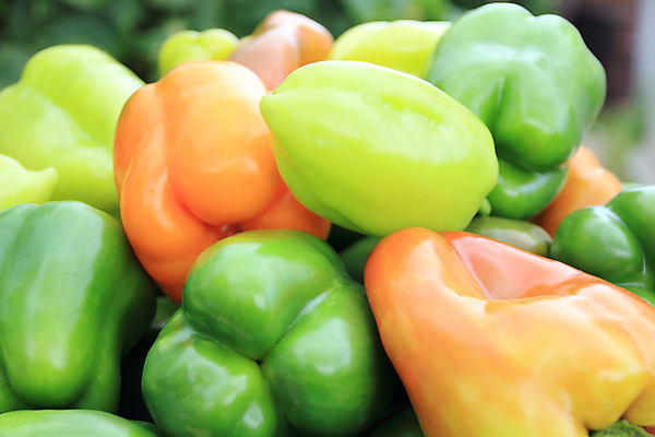 포토 JPG 해외이미지 식물 라이프스타일 문화 음식 백그라운드 농업 다이어트 채소 오렌지 재료 자연 고추 파프리카 건강 요리 사람없음 초록색 빛 노란색 주방 샐러드 신선 닫기 달콤 맛 먹기 향신료 싱글 날것 후추 비타민 칠레 내추럴 숙성 채식주의자 해외포토 산업 컬러 컨셉 과일 모션 생활 남아메리카 생태계 채식 영양소 향미료 파일형식 이미지허브